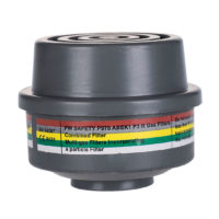 ABEK1P3 Combination Filter Special Thread Connection – Grey