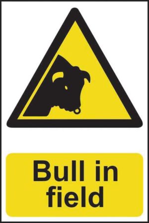 Bull In Field Sign 13804