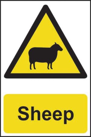 Sheep Sign 13814