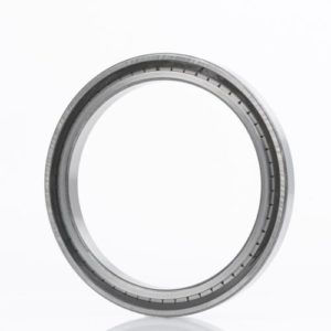 INA Cylindrical roller bearings SL182938 C3