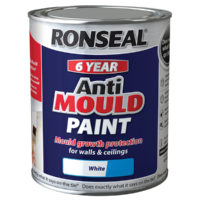 6 Year Anti Mould Paint